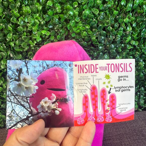 NWT Tonsil Plushie You're Swell Plush I Heart Guts Organ Stuffed Toy Pillow - Picture 3 of 7